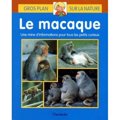 Le Macaque   de Chang Yi-Wen  Format Album 