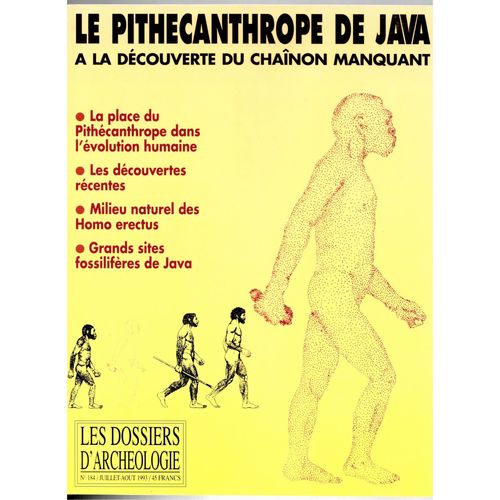Les Dossiers D'archologie N 184 : Le Pithcanthrope De Java :  La Dcouverte Du Chainon Manquant