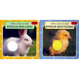 Livres Cube De Bebe Bonjour Mon Poussin Bonjour Mon Lapin Rakuten