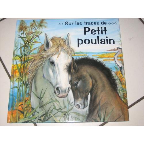 Petit Poulain   de pierre couronne  Format Album 