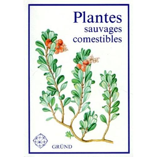 Plantes Sauvages Comestibles   de dagmar lanska  Format Broch 