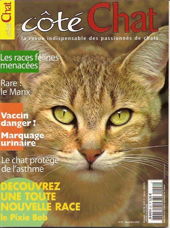 Cote Chat N 22 Les Races Felines Menacees Rare Le Manx Vaccin Danger Marquage Urinaire Le Chat Protege De L Asthme Decouvrez Une Toute Nouvelle Race Le Pixie Bob Rakuten