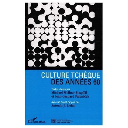 Culture Tchque Des Annes 60   de Wellner-Pospisil Michael  Format Broch 