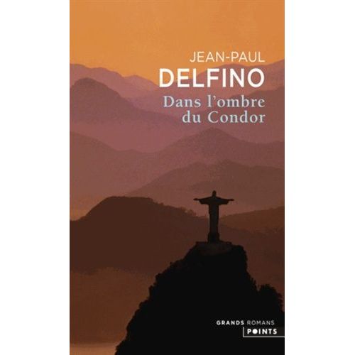 Dans L'ombre Du Condor    Format Poche 