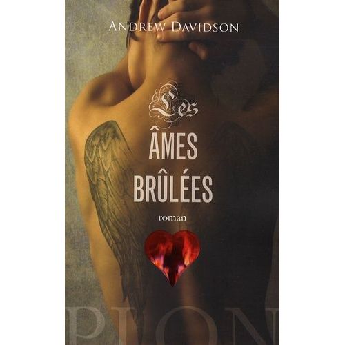 Les mes Brles   de Davidson Andrew  Format Beau livre 