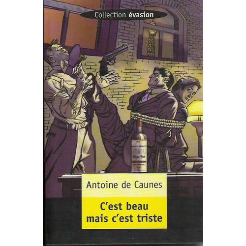 C'est Beau Mais C'est Triste   de antoine de caunes  Format Beau livre 