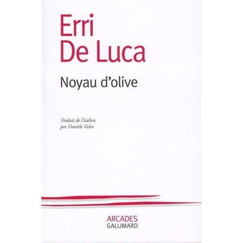 Noyau D'olive    Format Grand Format 