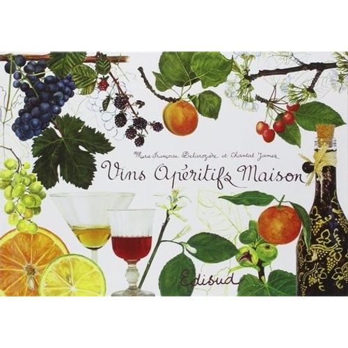 Vins Apritifs Maison   de marie-franoise delarozire  Format Broch 
