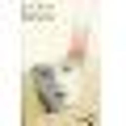 Dsert   de Gustave Le Clzio, Jean-Marie