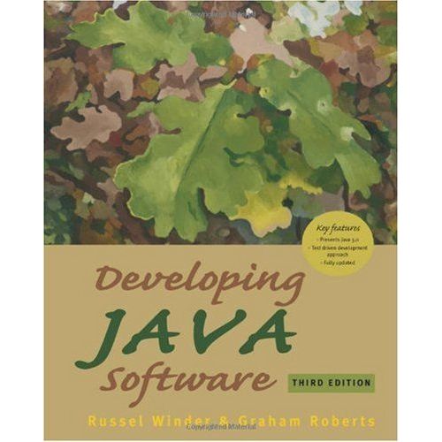 Developing Java Software   de Winder, R. 
