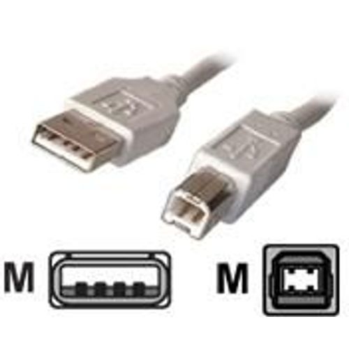 Dexlan - Cble USB