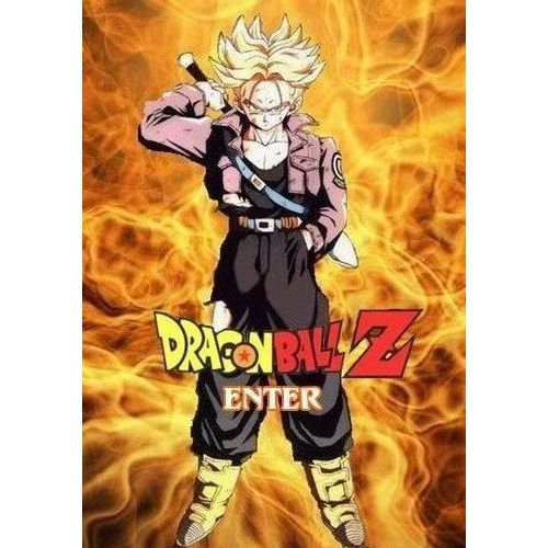 Dragon Ball Z Intégrale DVD Zone 2 Rakuten
