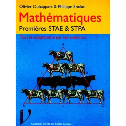 Mathmatiques 1res Stae/Stpa - Tout Le Programme Par Les Exercices   de Duhappart Olivier  Format Broch 