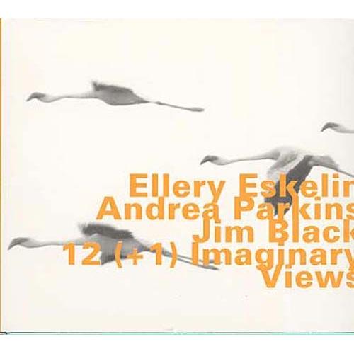 Imaginary Views - Ellery Eskelin