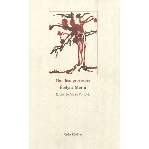 Non Lieu Provisoire   de Morin Evelyne  Format Poche 