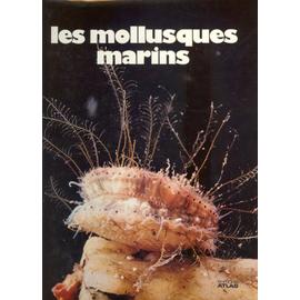 rakuten marins mollusques gaillard