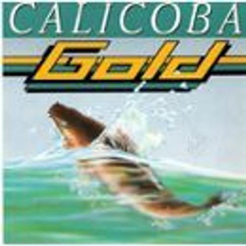 Calicoba - Gold