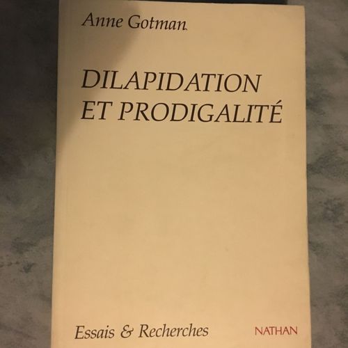 Dilapidation Et Prodigalit   de Anne Gotman  Format Broch 
