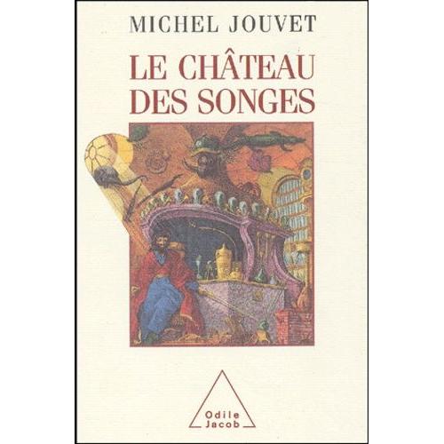 Le Chteau Des Songes   de Jouvet Michel  Format Beau livre 