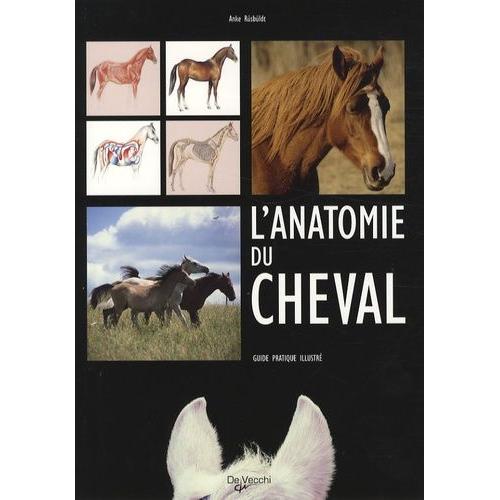 L'anatomie Du Cheval - Guide Pratique Illustr   de Rsbldt Anke  Format Broch 