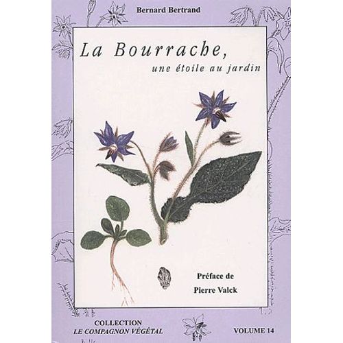 La Bourrache - Une toile Au Jardin !   de Bernard Bertrand  Format Broch 