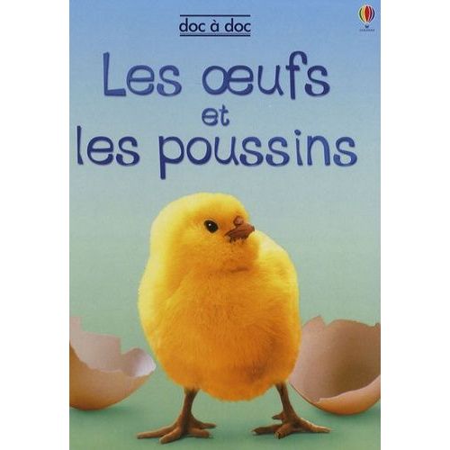 Les Oeufs Et Les Poussins   de Patchett Fiona  Format Broch 