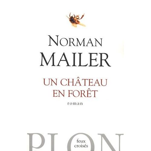 Un Chteau En Fort    Format Grand Format 