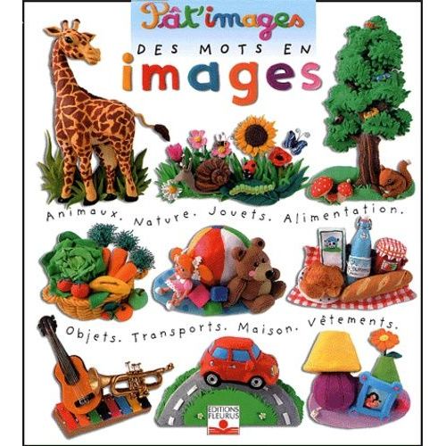 Des Mots En Images    Format Album 