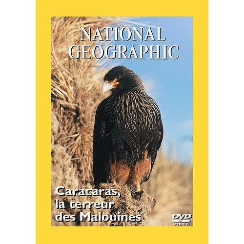 National Geographic - Caracaras, la terreur des Malouines | Rakuten