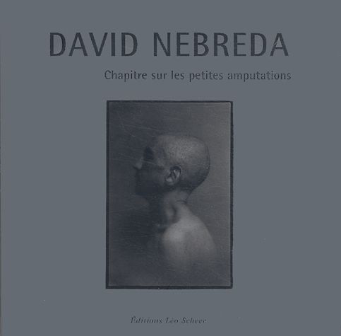 Chapitre Sur Les Petites Amputations   de David Nebreda  Format Reli 