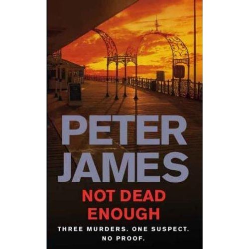 Not Dead Enough   de Peter James  Format Broch 