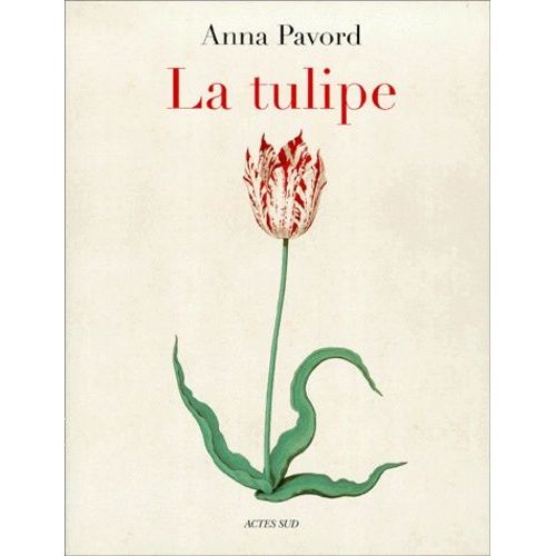 La Tulipe   de Pavord Anna  Format Reli 