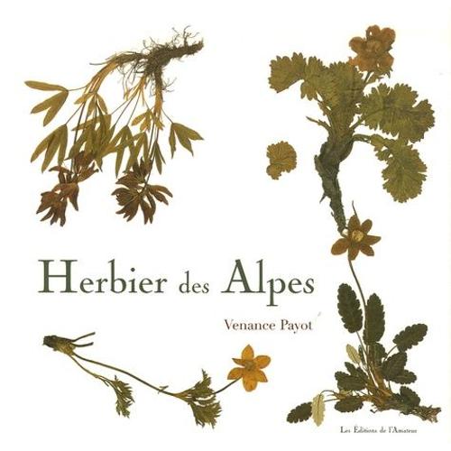 Herbier Des Alpes   de Payot Venance  Format Broch 
