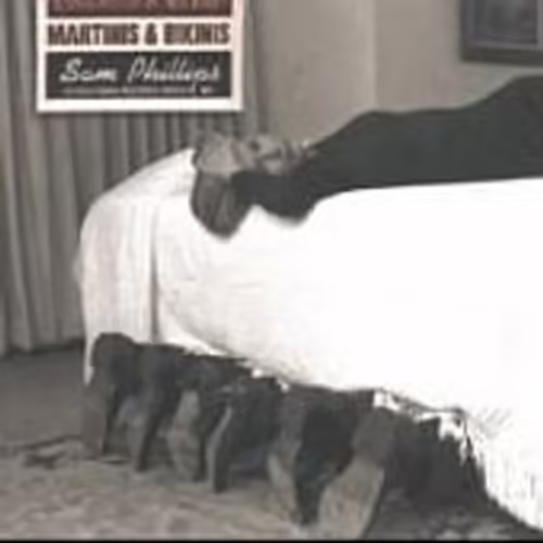 Martinis and bikinis CD Rakuten