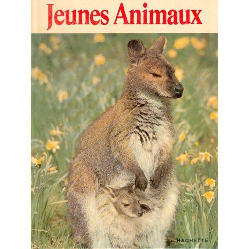 Jeunes Animaux   de RENSENBRINK H.