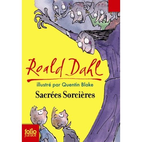 Sacres Sorcires   de Dahl Roald  Format Poche 