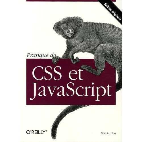 Pratique De Css Et Javascript   de Sarrion Eric  Format Broch 