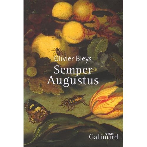 Semper Augustus    Format Grand Format 
