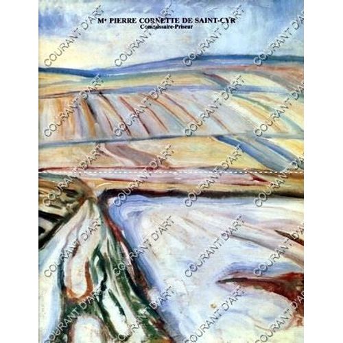 Tableaux Modernes Et Contemporain - [Biegas - Dufy - Boudin - Lebasque - Chagall - Montezin - Courbet - Friesz - Lebourg - Fantin-Latour - Grubach - Ziem - Kisling - Micao Kono - Domergue - ...