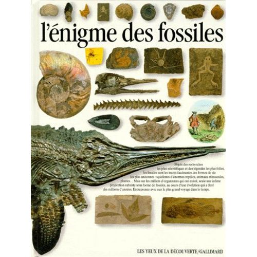 L'enigme Des Fossiles    Format Beau livre 