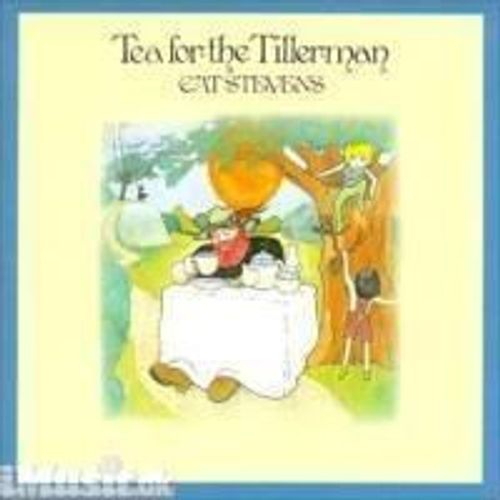 Tea For The Tillerman - Stevens Cat