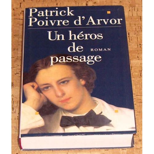 Un Heros De Passage   de Poivre D Arvor Patrick 