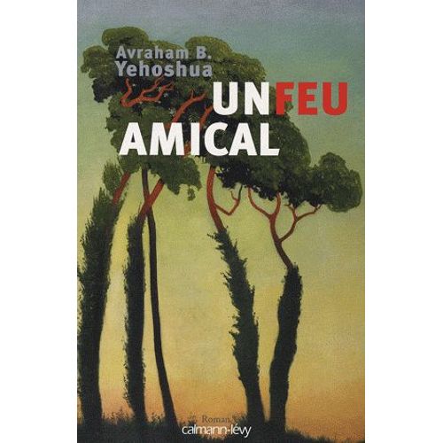 Un Feu Amical   de Yehoshua Avraham B.  Format Beau livre 