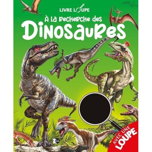 A La Recherche Des Dinosaures - Avec 1 Loupe    Format Album 