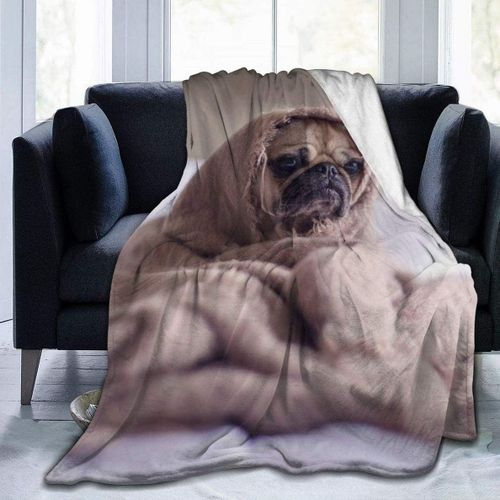 A Lazy Cat Imprim Jeter Couverture Ultra Doux Lger Chaud Microfibre Lit Couverture Pour Canap Lit Canap Bu
