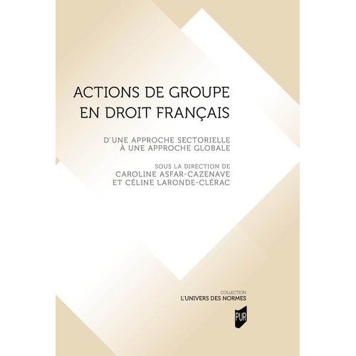 Actions De Groupe En Droit Franais - D'une Approche Sectorielle  Une Approche Globale    Format Grand Format 
