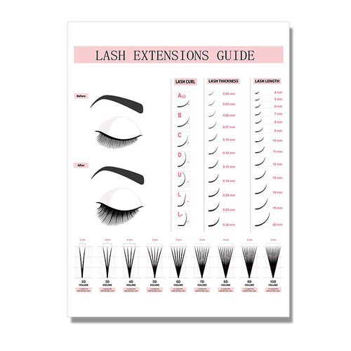 Affiches De Guide Technique Pour Extensions De Cils, Peinture Sur Toile Imprime, Tableau D'art Mural Pour Salon 40x50cm No Frame