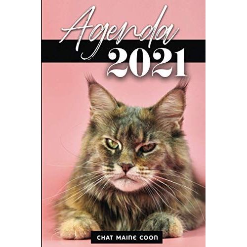 Agenda 2021 : Chat Maine Coon: Anne 2021 (De Janvier  Dcembre 2021) | Chat | 2 Jours Par Page | Calendrier | Format A5 | Ide Cadeau Pour Les Passionns D'animaux, De Chats (Nol, Nouvel An, Ftes   de Maow & Cats, Agendas  Format Broch 