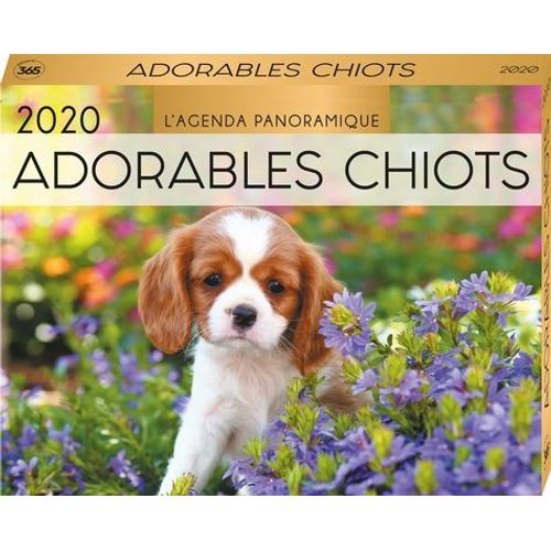 L'agenda Panoramique Adorables Chiots    Format Etui 