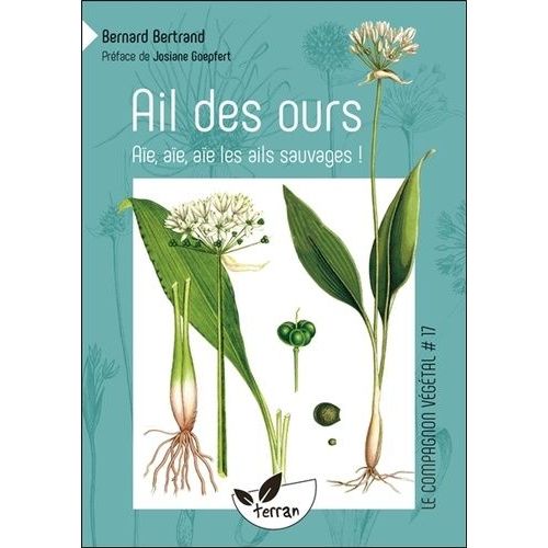 Ail Des Ours - Ail Rose, Ail Moly, Ail Des Vignes, Ail  Tte Ronde, Ail Des Cerfs, Ail Triqute, Ae, Ae, Ae Les Ails Sauvages !    Format Broch 